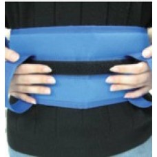 Transfer Belt